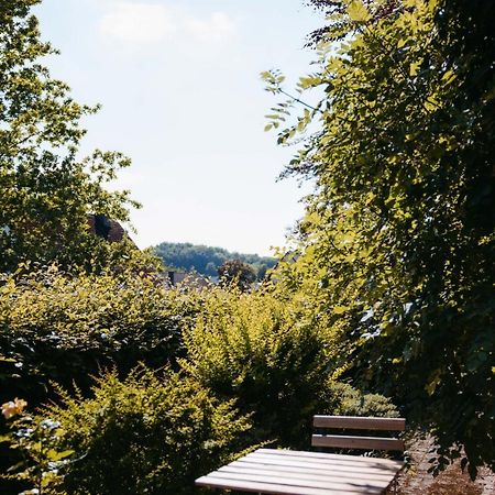 Ferienwohnung Kurpark Brilon am Rothaarsteig Exterior foto